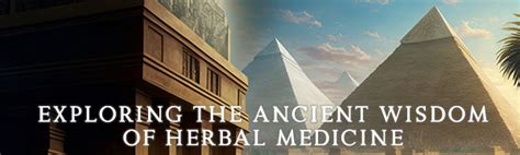 Exploring Ancient Civilizations' Approaches to Medicine and Healing ... - wintechmobiles.com
