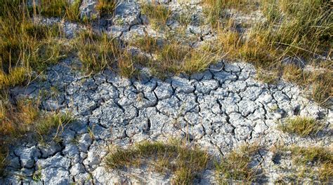 Exploring biodiversity and climate change benefits of community-based ... - raincitystudios.com