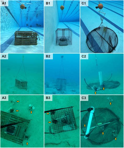 Exploring effectiveness of two common trap designs for capturing fish ... - muktibox.com