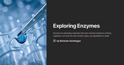 Exploring Enzymes - Scientific American - wintechmobiles.com