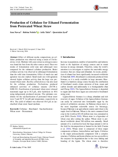 Exploring Ethanol Production: Impact of Cellulase on Fermentation - wintechmobiles.com