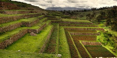 Exploring Inca Agriculture Techniques and Their Impact on Ancient ... - wintechmobiles.com