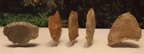 Exploring Scrapers and Hide Processing Tools in Ancient Technology - wintechmobiles.com