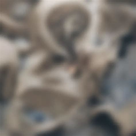 Exploring the Art and Science of Slip Casting Ceramics - muktibox.com