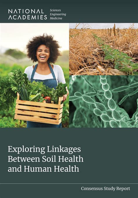 Exploring the Benefits of Contours for Soil Health - raincitystudios.com