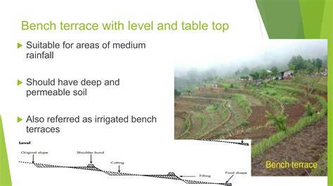 Exploring the Practice of Bench Terraces and its … - raincitystudios.com