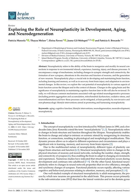 Exploring the Role of Neuroplasticity in Development, Aging, and ... - wintechmobiles.com