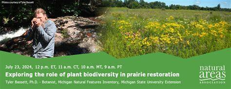 Exploring the role of plant biodiversity in prairie restoration - raincitystudios.com