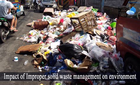 Exploring The Root Causes Of Improper Waste Disposal - raincitystudios.com
