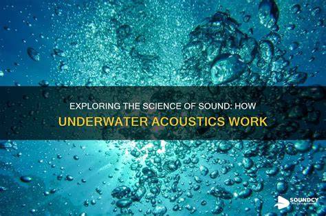 Exploring The Science Of Sound: How Underwater Acoustics Work - raincitystudios.com