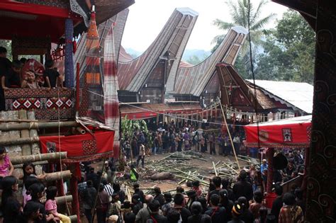 Exploring The Toraja Death Rituals Of Indonesia - wintechmobiles.com
