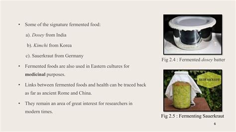 Exploring the Use of Fermentation in Ancient Cultures: Historical ... - wintechmobiles.com
