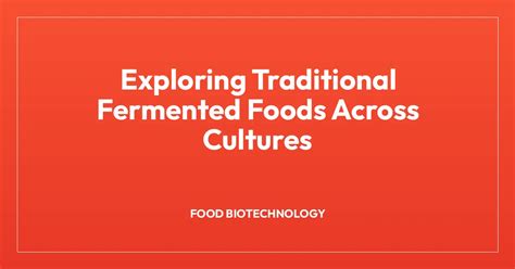 Exploring Traditional Fermented Foods Across Cultures - wintechmobiles.com