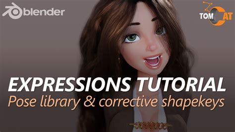 Expressions Tutorial with Pose Library & Corrective Shapekeys in ... - muktibox.com