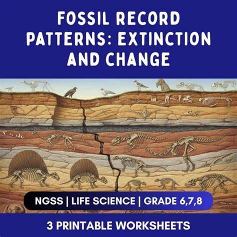 Extinction and the fossil record (Chapter 1) - Extinctions … - raincitystudios.com