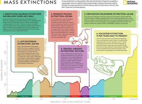 Extinction Events - Fossils and Paleontology (U.S. - muktibox.com