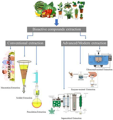 Extraction and pharmacological properties of bioactive compounds … - raincitystudios.com