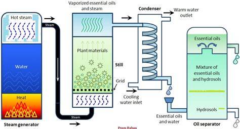 Extraction and refining of essential oil from Australian tea tree ... - raincitystudios.com