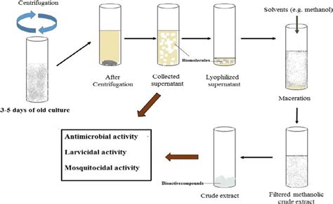 EXTRACTION OF DRUGS FROM BIOLOGICAL MATERIALS …