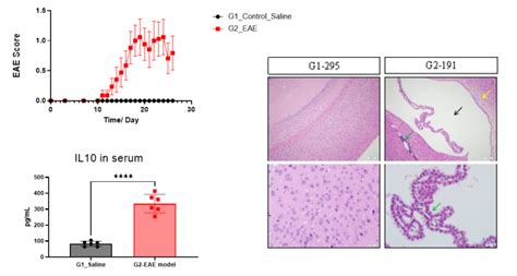 💋 [CLIP] Eae Vieraa Leaks