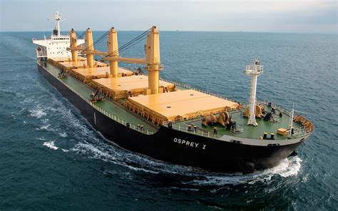 Eagle Bulk Shipping Inc.