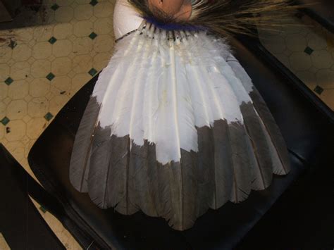 Eagle Feathers Imitation for sale by …