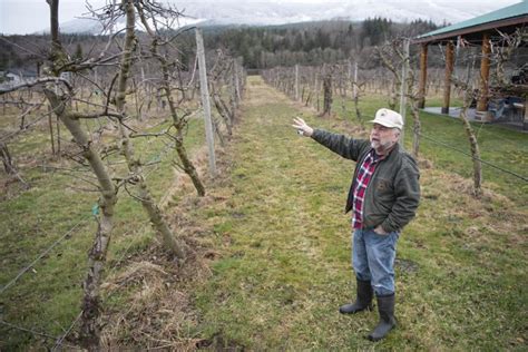 Eagle Haven Winery excited to add to vineyard, orchard