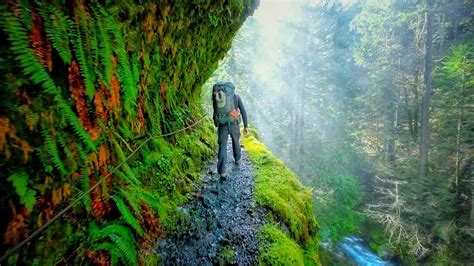 Eagle creek trail oregon. 30 Aug 2016 ... The final 15 miles in Oregon are spent by nearly all thru-hikers, not on the official PCT, but on the alternate Eagle Creek trail. Plunging down ... 