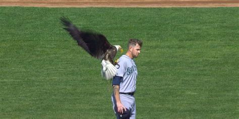 Eagle lands on Paxton 04/05/2024 MLB.com