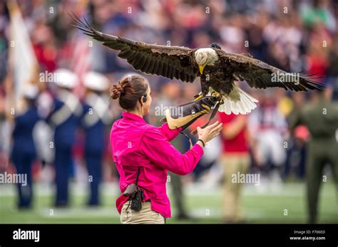 Eagle salute hires stock photography and images Alamy