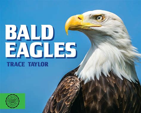 Eagles trace. Things To Know About Eagles trace. 