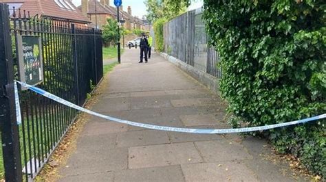 Ealing: Woman, 21, stabbed to death in alleyway in