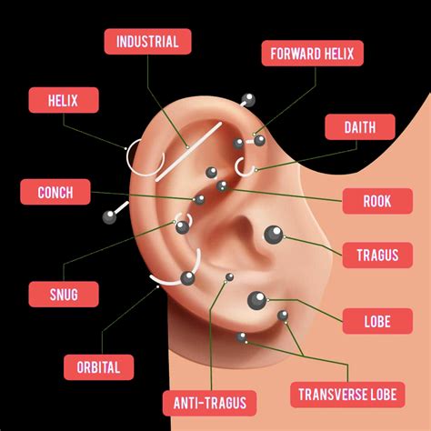 Ear Piercings & Sexual Orientation