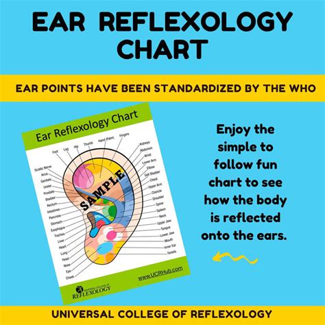 Ear Reflexology Chart - Universal College of Reflexology