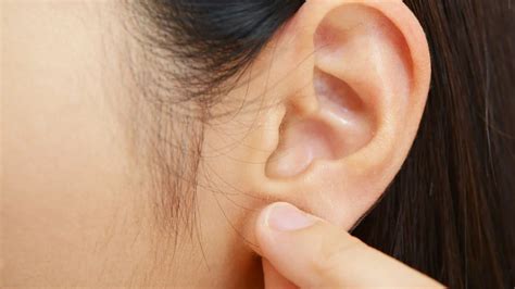 Ear lobe pimple. Tea tree oil and aloe vera for pimples. Tea tree oil and aloe vera have anti-inflammatory and disinfectant effects. To treat pimples, a small amount of liquid is added to a cotton swab and placed directly on the pimple. The active ingredients should only be applied to the affected area and should not penetrate the ear canal. 