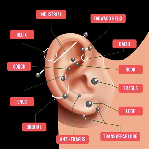 Ear piercing chart. May 25, 2019 · 1 The Chart; 2 Facial Piercings; 3 Ear Piercings; 4 Gauge Sizes and Stretching your Ears; 5 Nose Piercings and Gauge Sizes. 5.1 Nostril Piercing; 5.2 Septum Piercing; 5.3 Bridge Piercing; 5.4 Nasallang Piercing; 5.5 High Nostril; 5.6 Vertical Nose Tip; 5.7 Nose Ring Styles; 5.8 Nose Stud Sizes; 6 Lip Piercings. 6.1 Angel Bite Piercing; 6.2 ... 