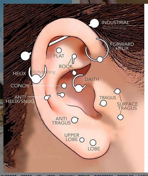 Ear piercing locations. Things To Know About Ear piercing locations. 