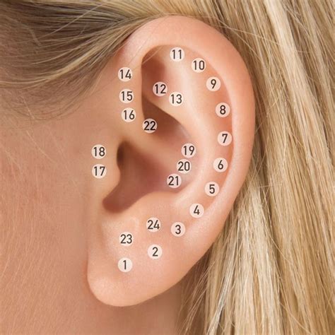 Ear piercing spots. This ear piercing diagram shows the spots on your ear that you can pierce, inc. lobe, tragus, helix, conch, rook, industrial, flat & more. 