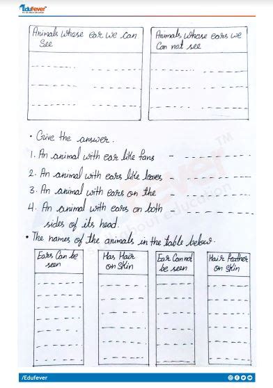 Ear to Ear class 4 evs worksheet with answers YourExamInfo