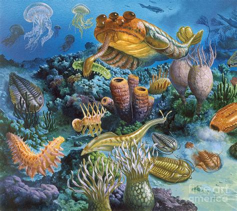Early paleozoic. Things To Know About Early paleozoic. 