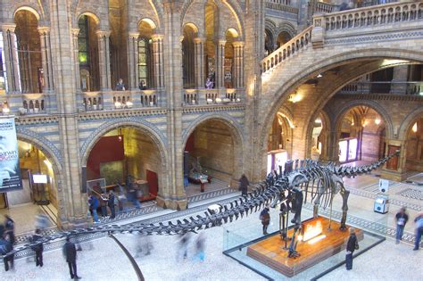 Earth’s First Giant Natural History Museum