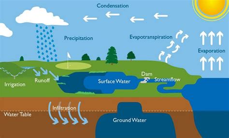 Earth science regents tips.  The Water Cycle And Groundwater Systems New Y...