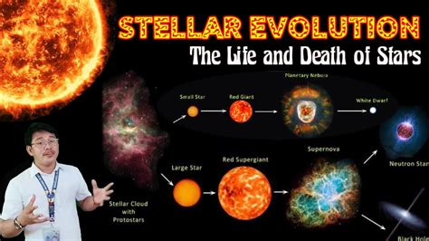 Earth science stellar evolution study guide. - Bauen und wohnen in heide und spreewald.