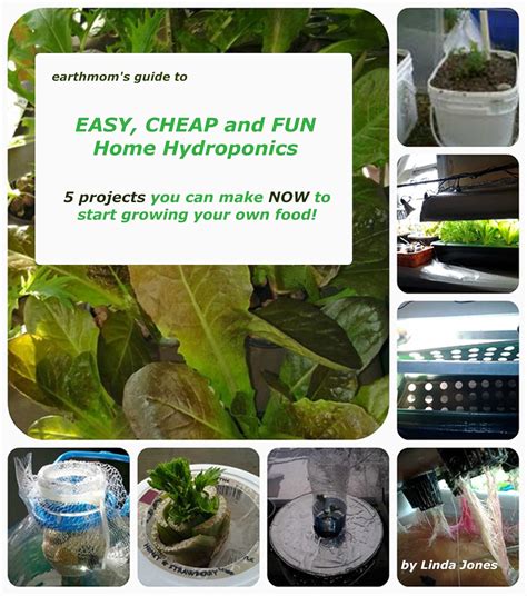 Earthmom s guide to easy cheap and fun home hydroponics. - Economia e as finanças do paraná.