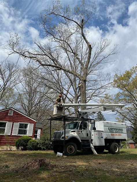 Earthworks Tree Service - Facebook