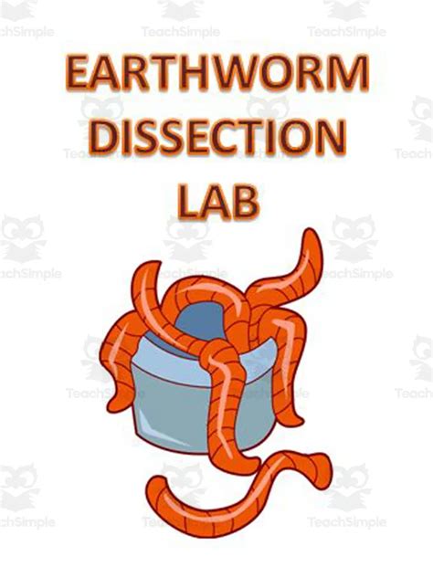 Earthworm Dissection Lab Teaching Resources Teachers Pay Teachers