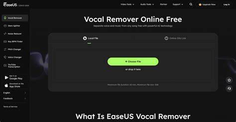 Easeus Vocal Remover guide