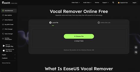 Easeus Vocal Remover to remove