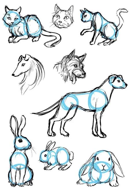 Easiest Animals To Draw