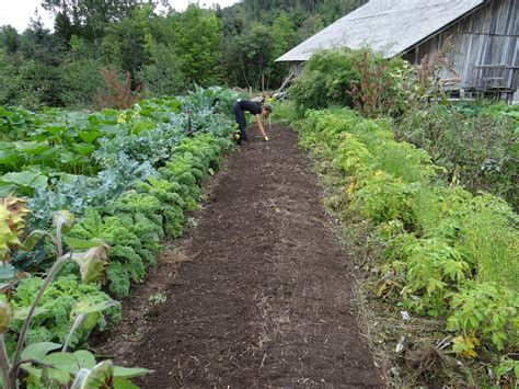 Easiest Way to Get Farm Status in BC Farm Assessment